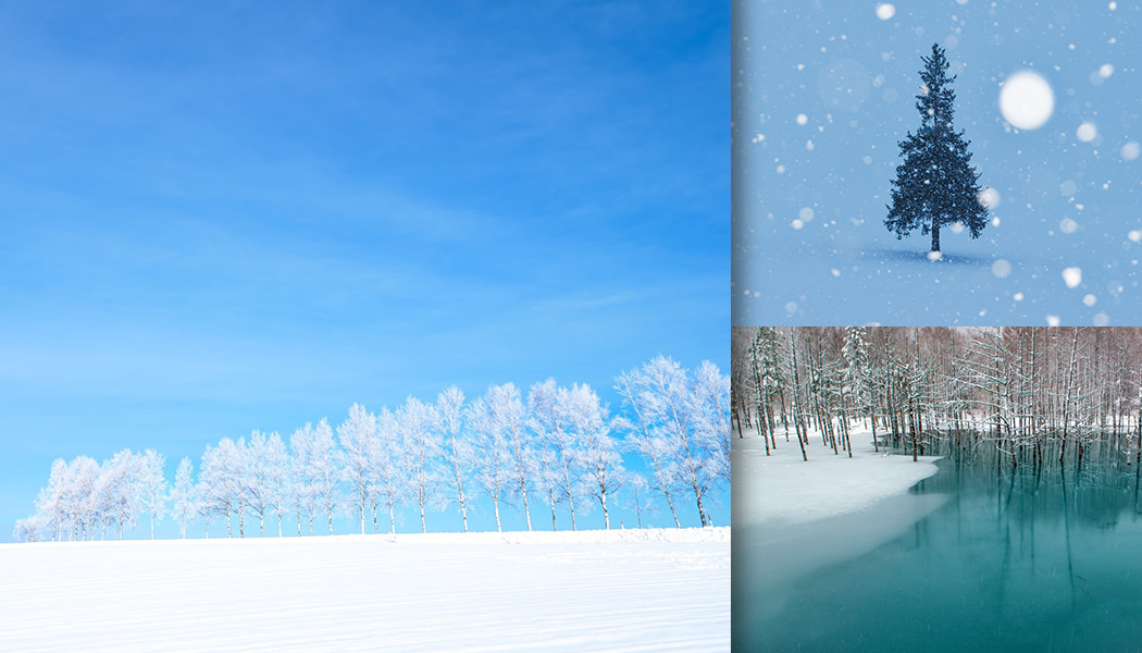 冬の季節 厳冬期の山々や雪の人気の写真 画像 まとめ フリー素材のぱくたそ