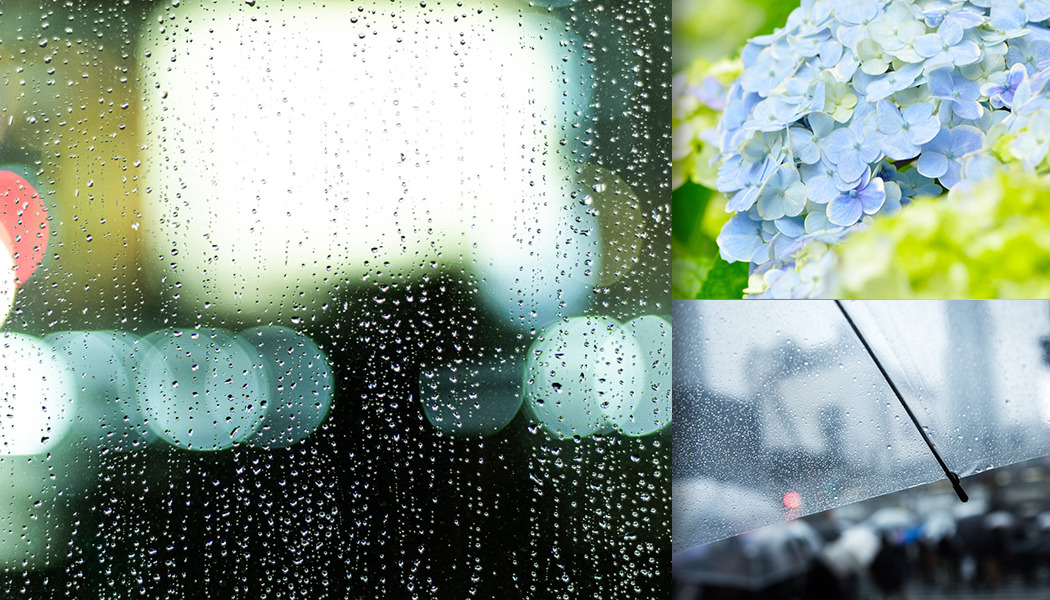 梅雨の時期に使える水滴や紫陽花の人気の写真素材まとめ ぱくたそ