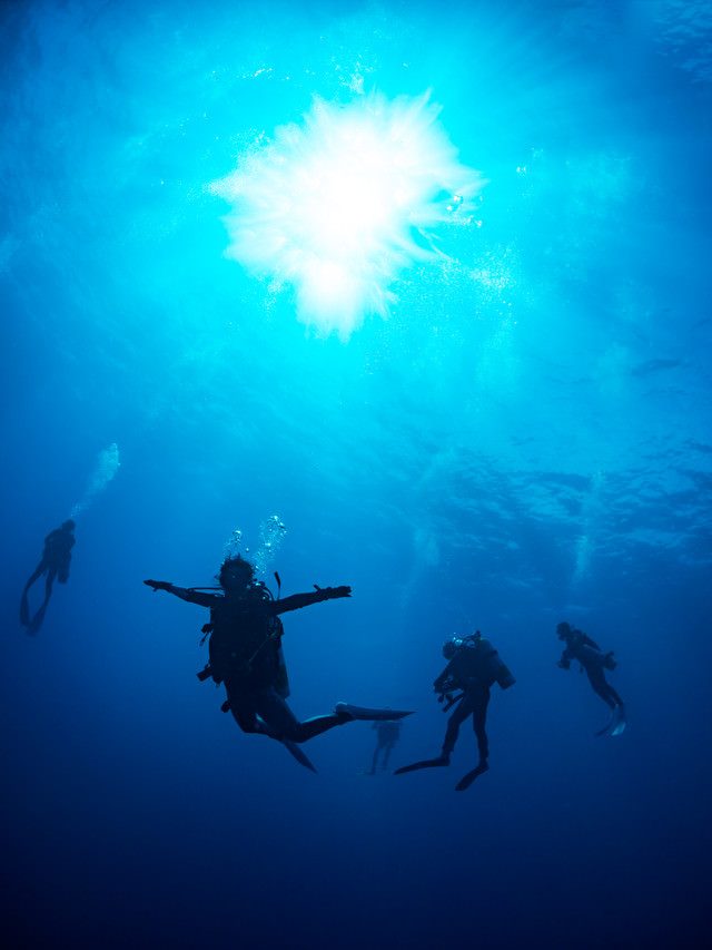 浮遊するダイバーの写真素材 ぱくたそ