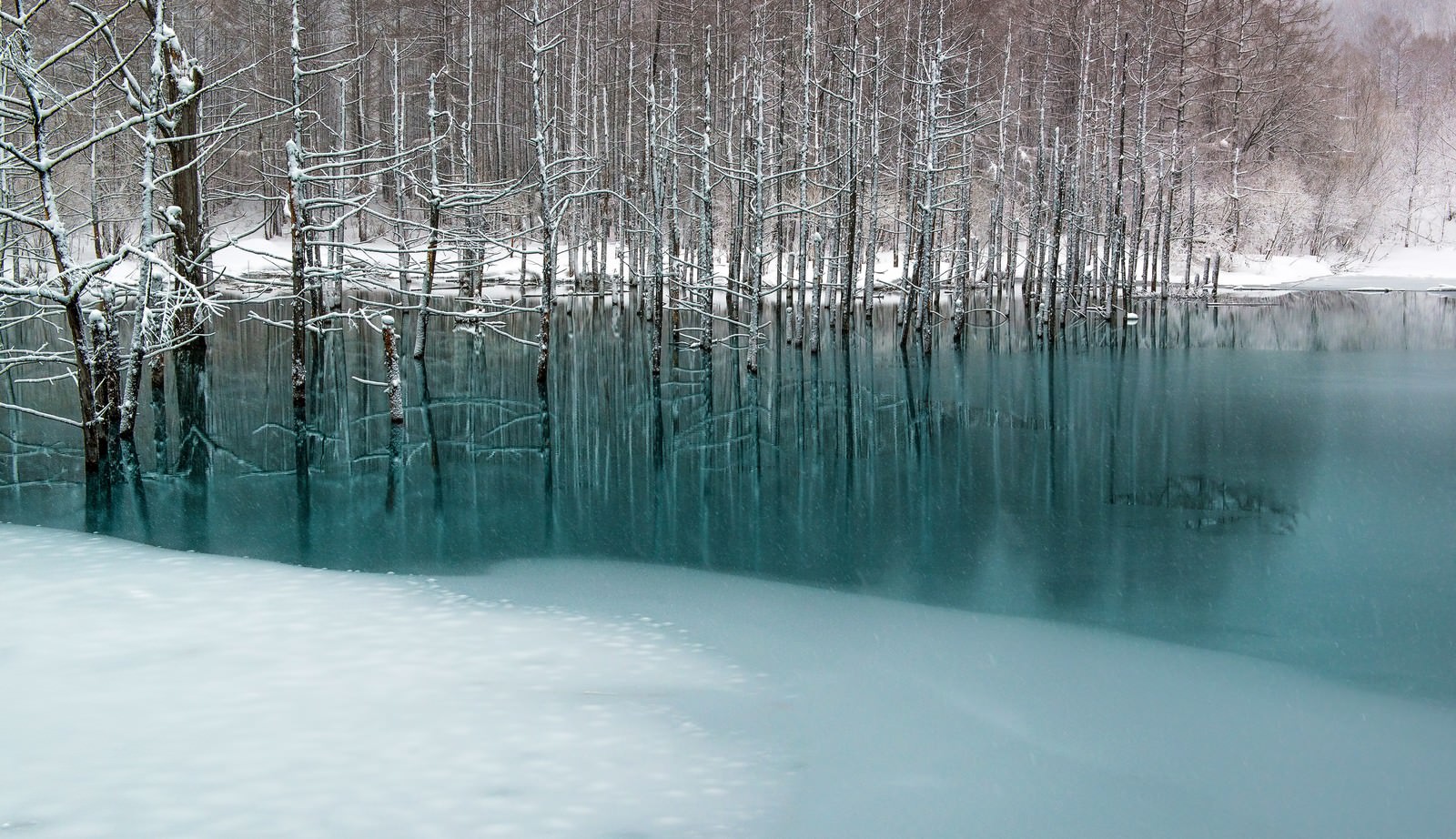 青い池と雪の写真素材 ぱくたそ