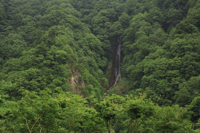 わのふじ帯【六通】山林の中に滝 - 着物