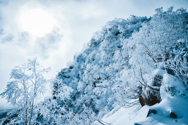 幻想的な樹氷の白銀の世界の写真を無料ダウンロード フリー素材 ぱくたそ