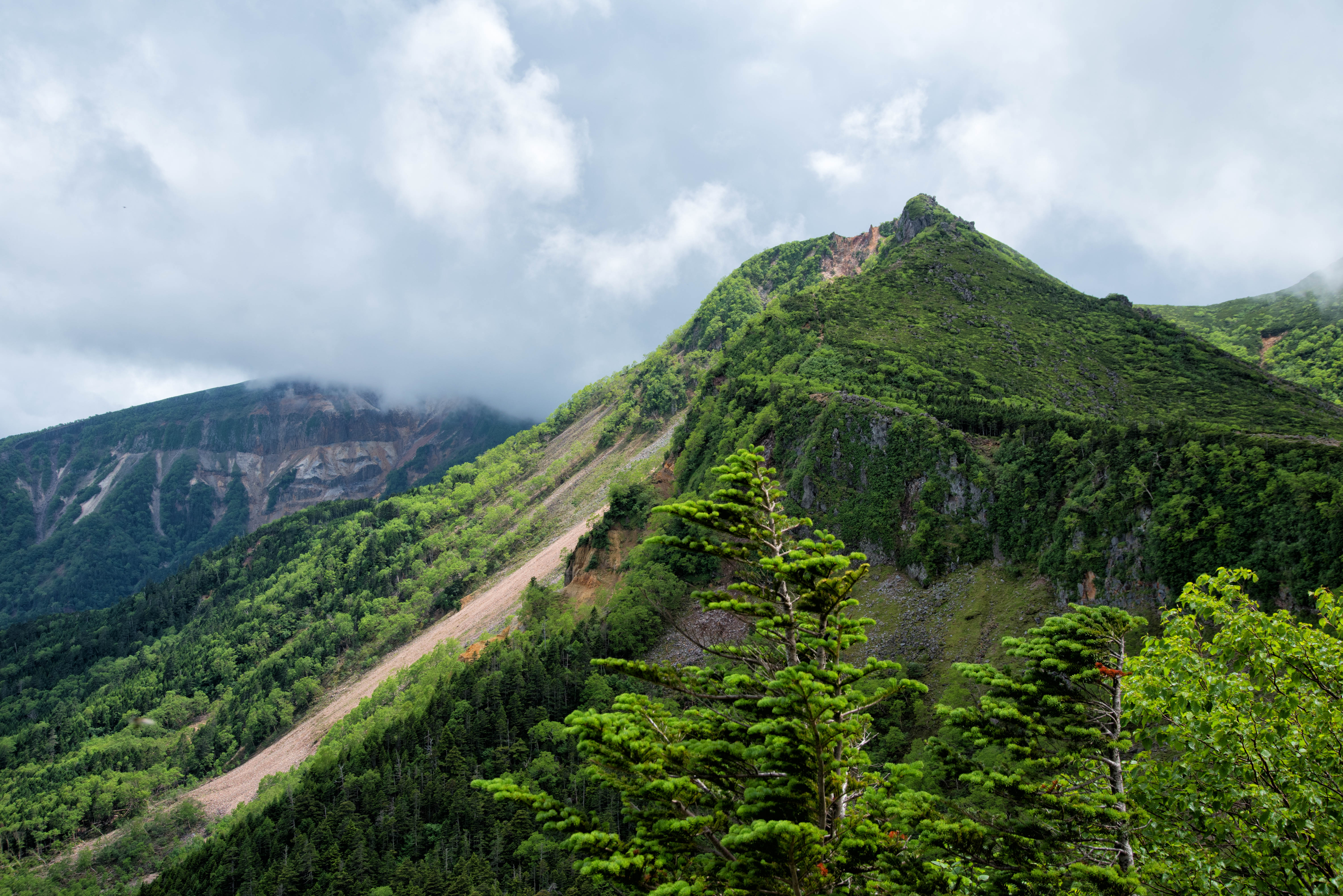 新緑に覆われた東天狗岳と曇り空 八ヶ岳連峰 の写真素材 ぱくたそ