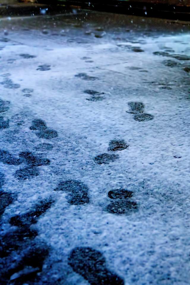 降り始めの雪と足跡の写真を無料ダウンロード フリー素材 ぱくたそ