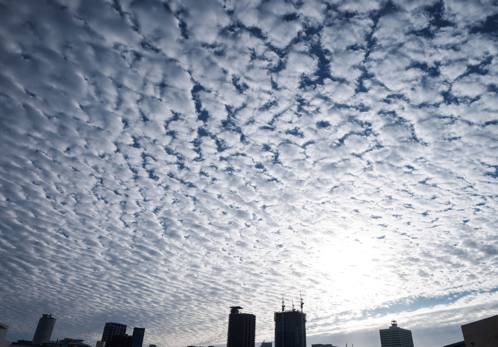 一面のうろこ雲 巻積雲 の写真素材 ぱくたそ