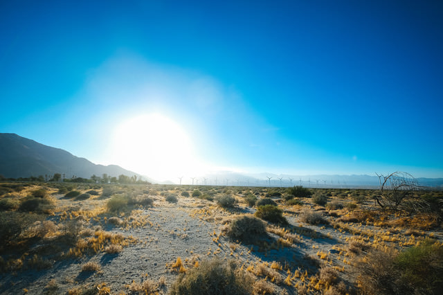 カリフォルニア パームスプリングスの太陽の無料の写真素材 フリー素材 をダウンロード ぱくたそ