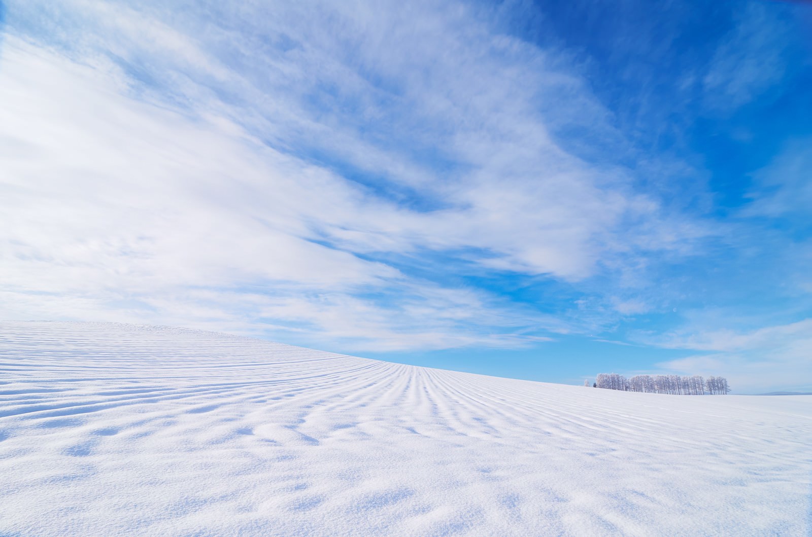 北海道の広大な雪原 フリー素材のぱくたそ