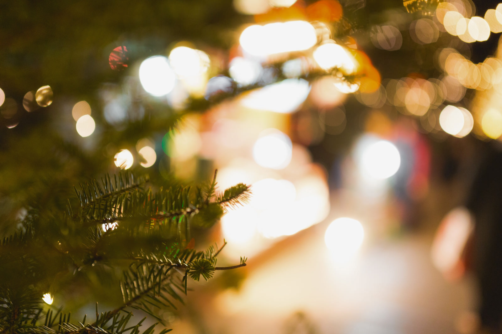 クリスマスツリーと光るライトの写真素材 ぱくたそ