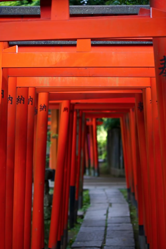稲荷神社と赤い鳥居の写真を無料ダウンロード フリー素材 ぱくたそ