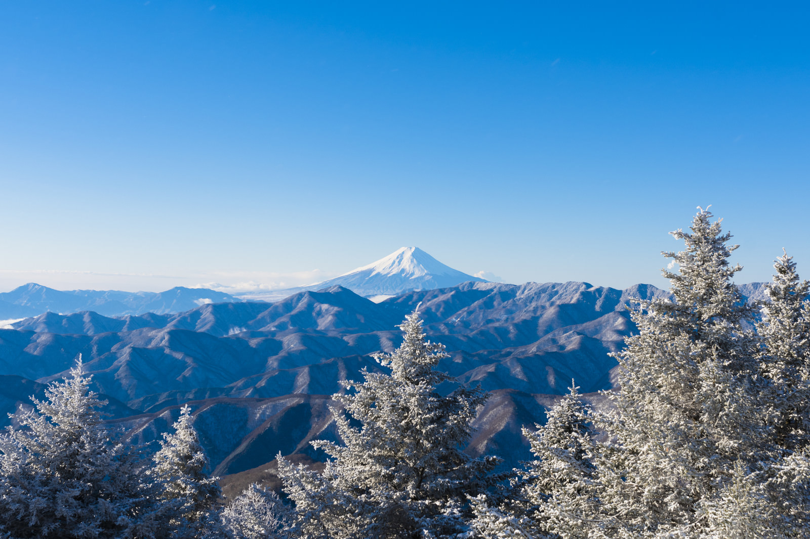 霧氷と富士山 雲取山 の写真 画像 を無料ダウンロード フリー素材のぱくたそ