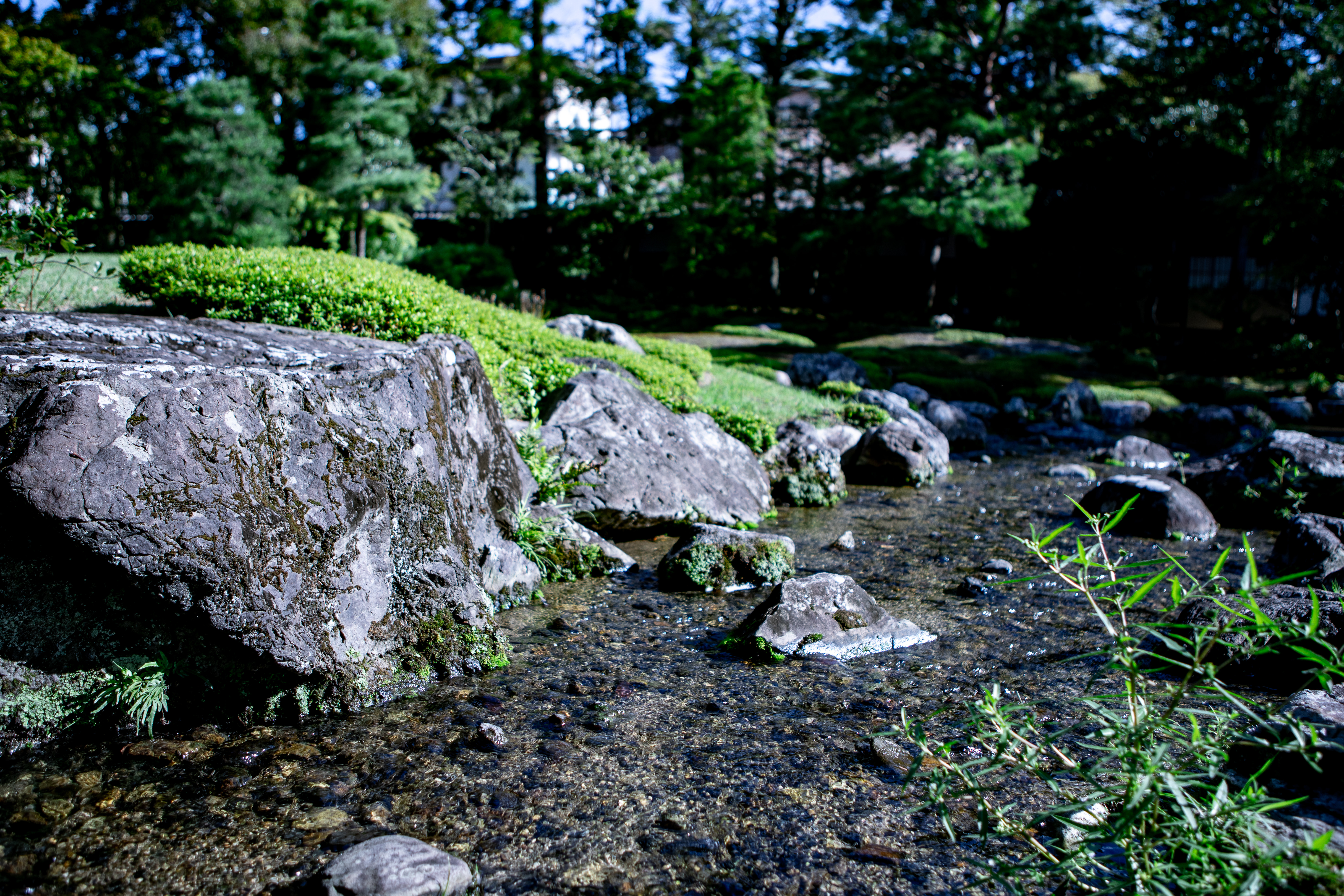 日本庭園にある川の写真素材 ぱくたそ