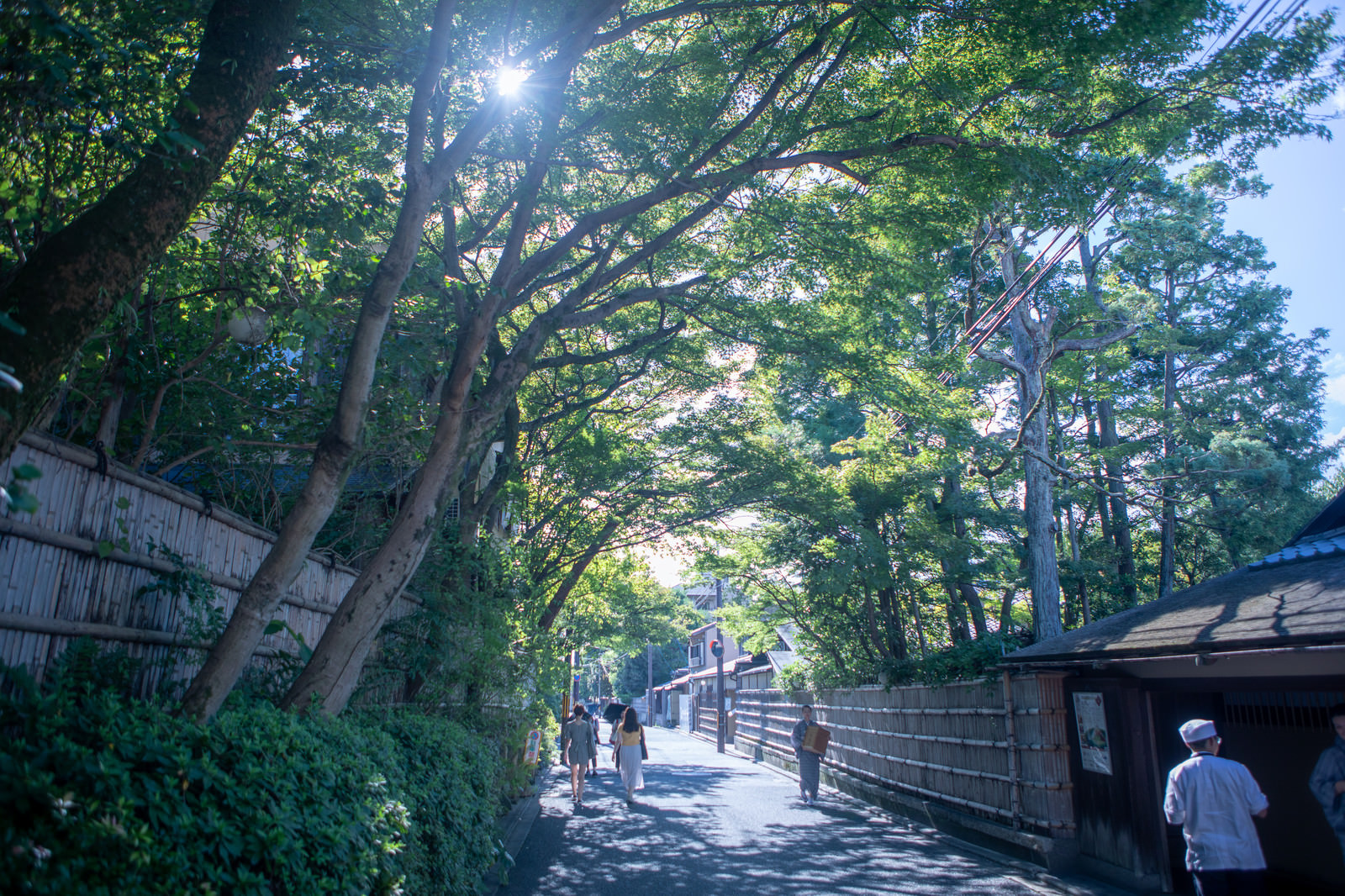 木漏れ日の中を歩く観光客 京都府 の写真 画像 フリー素材 ぱくたそ