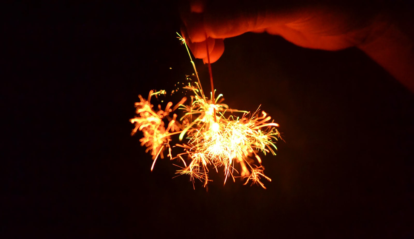 「線香花火を手で持つ線香花火を手で持つ」のフリー写真素材を拡大