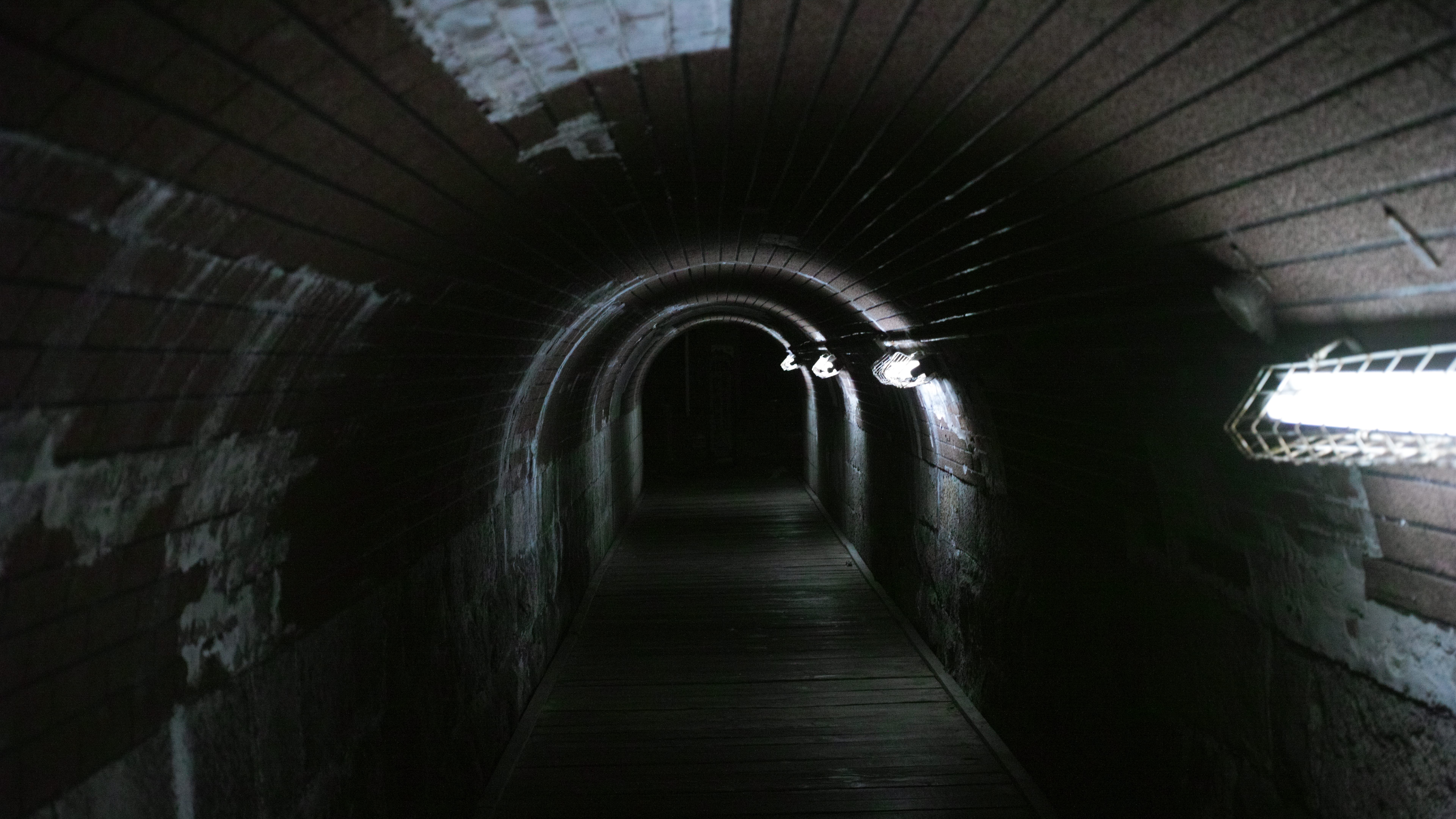 仄暗いトンネルの写真 画像 フリー素材 ぱくたそ