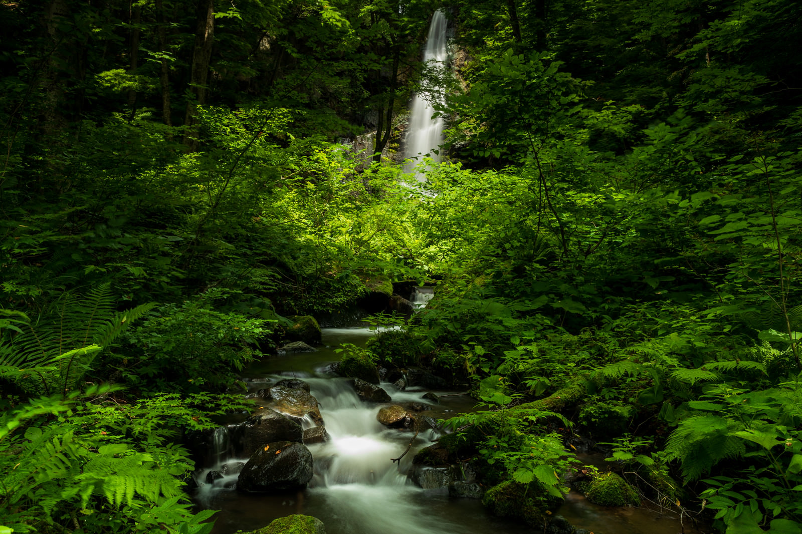 友情の滝 田沢湖高原 の写真 画像 を無料ダウンロード フリー素材のぱくたそ