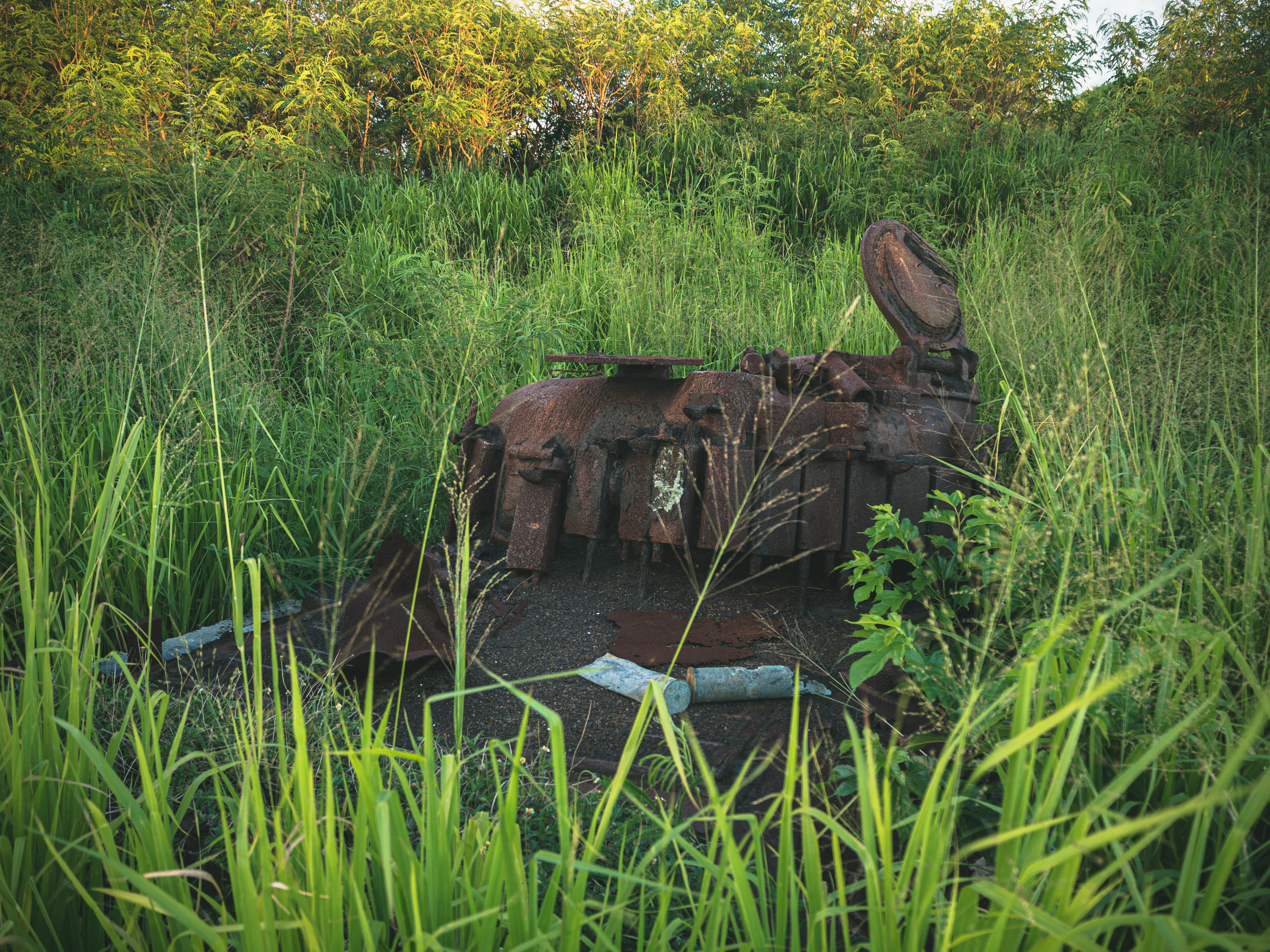 深い草むらに埋もれた錆て朽ちかけたシャーマン戦車と砲弾薬きょうの写真素材 ぱくたそ