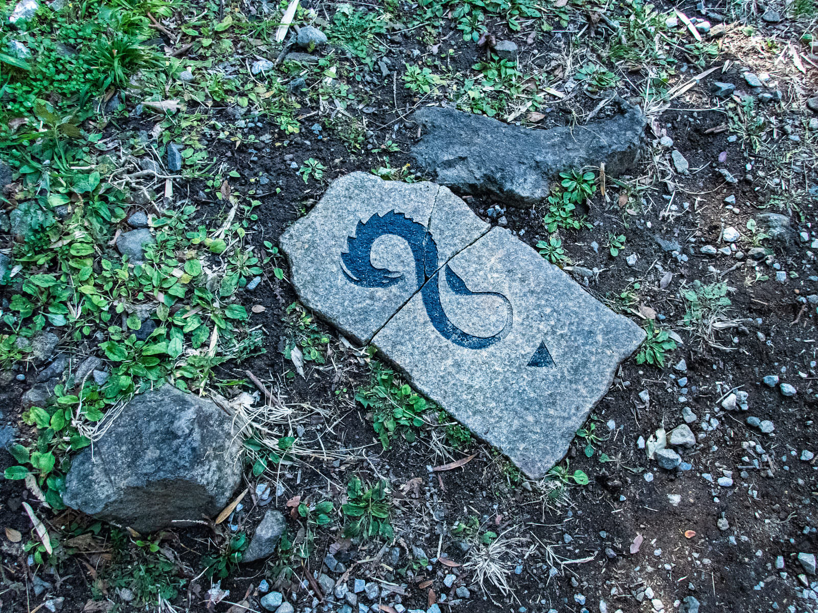 石に彫られた龍（ドラゴン）の紋章の無料写真素材 - ID.77053 ...