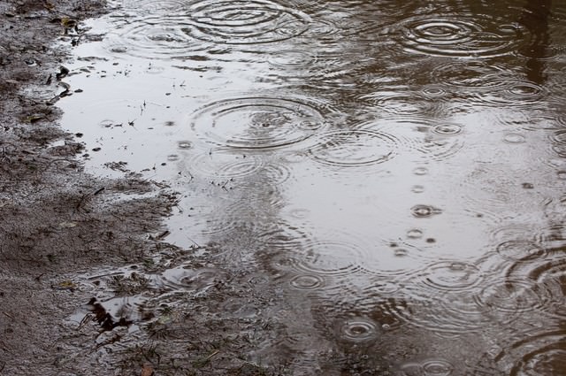 雨の日の無料の写真素材 フリー素材 をダウンロード ぱくたそ