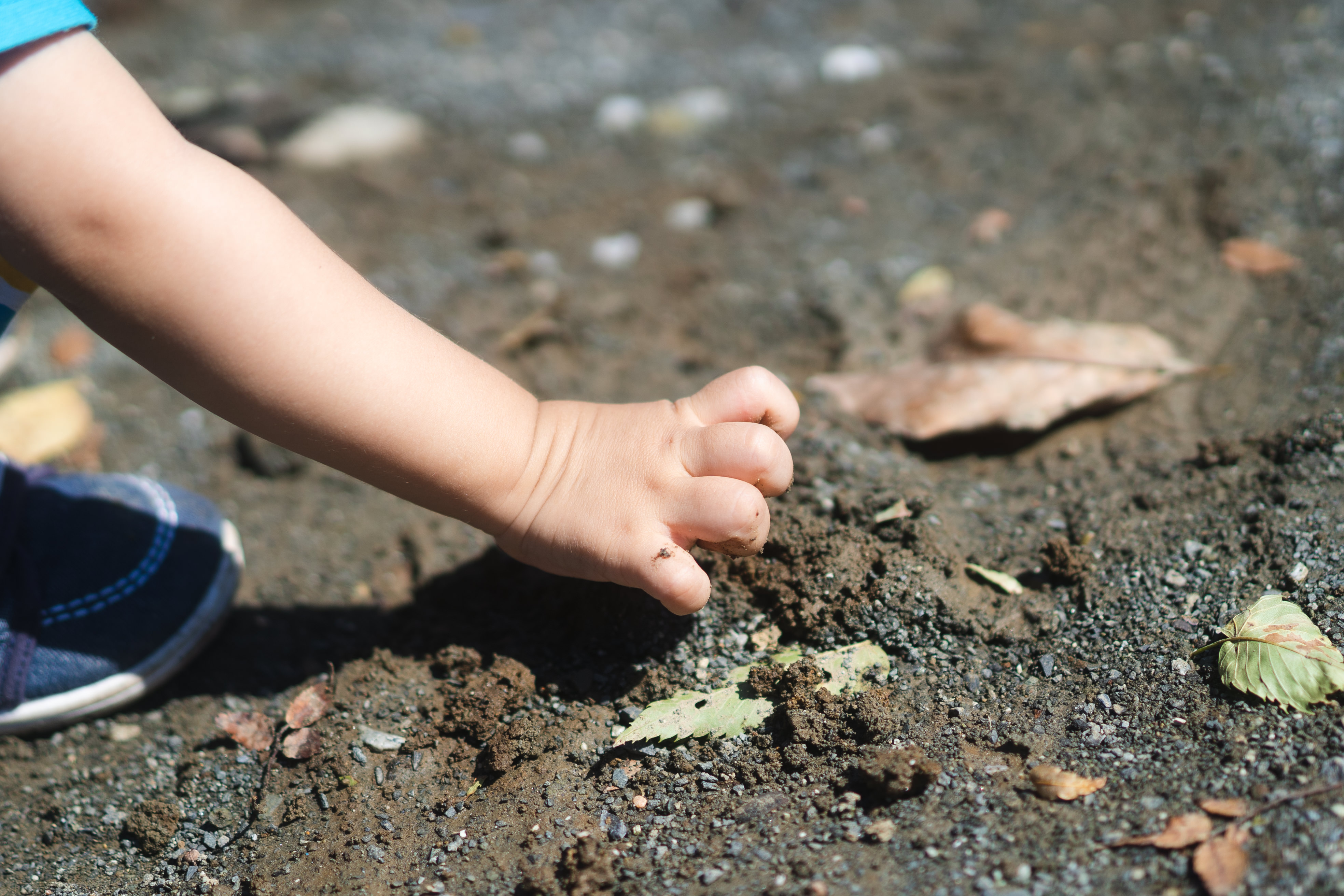 素手で土を触る子供の手の写真素材 ぱくたそ