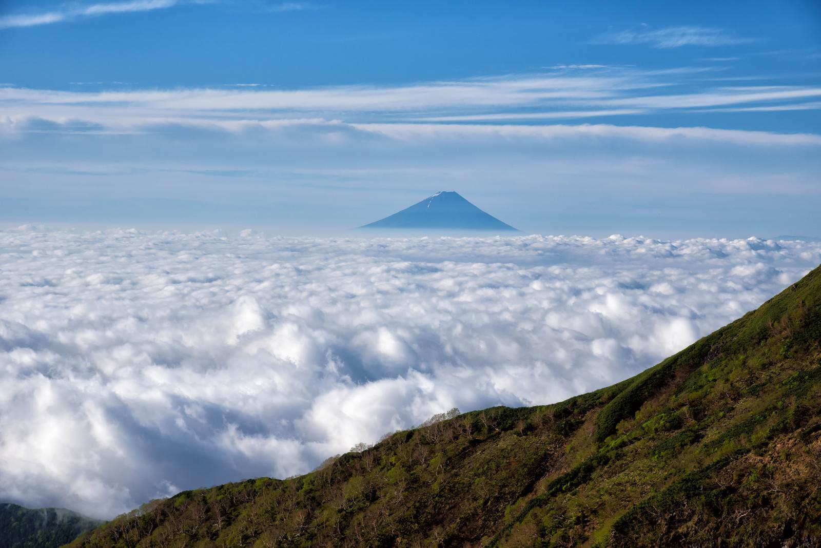 大雲海と富士山の写真 画像 フリー素材 ぱくたそ