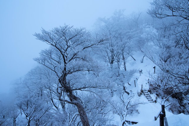 丹沢雪景色の写真を無料ダウンロード フリー素材 ぱくたそ