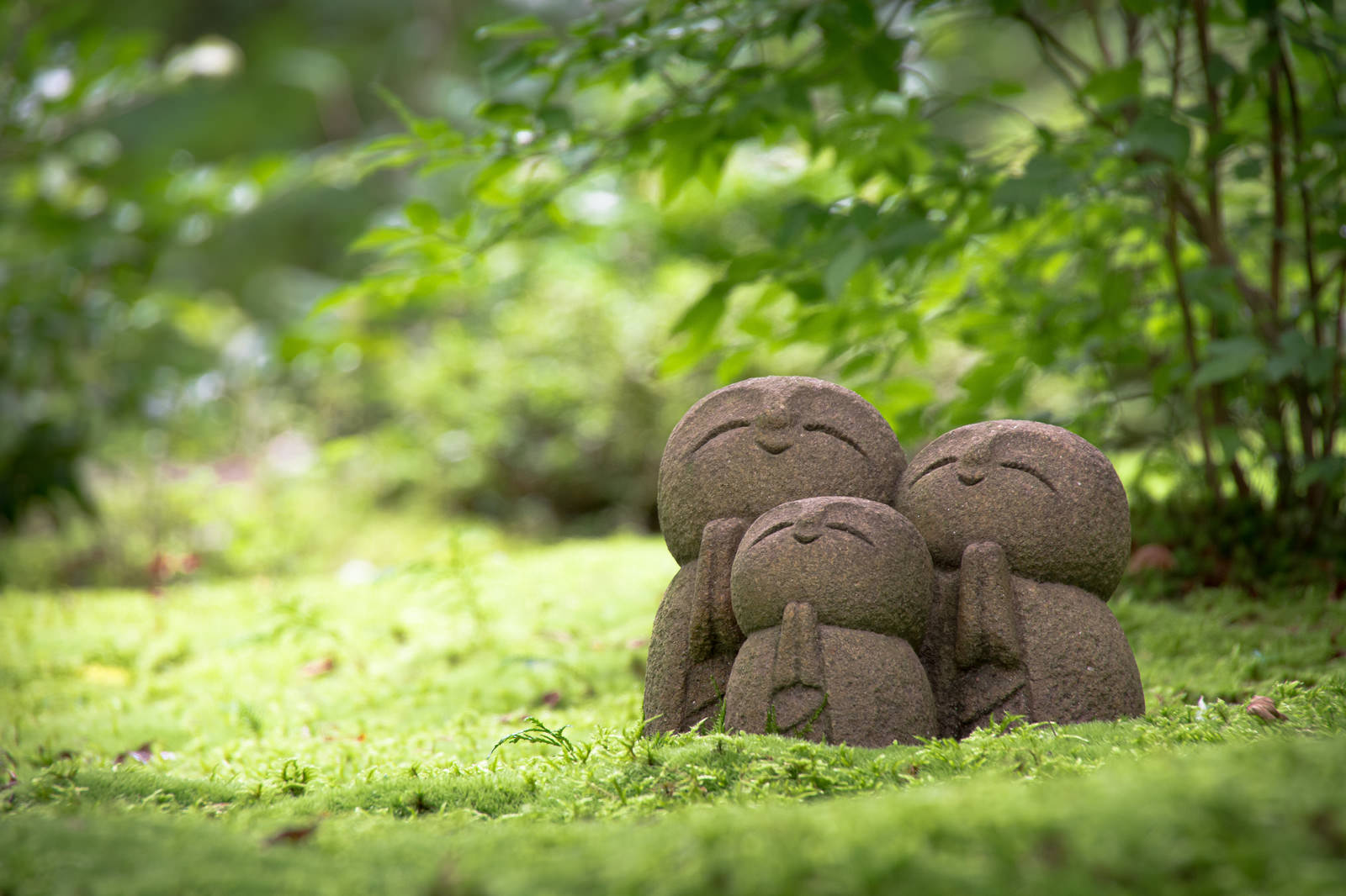 深い苔の絨毯の上でほほえむ詩仙堂の小さなお地蔵様の写真を無料ダウンロード フリー素材 ぱくたそ