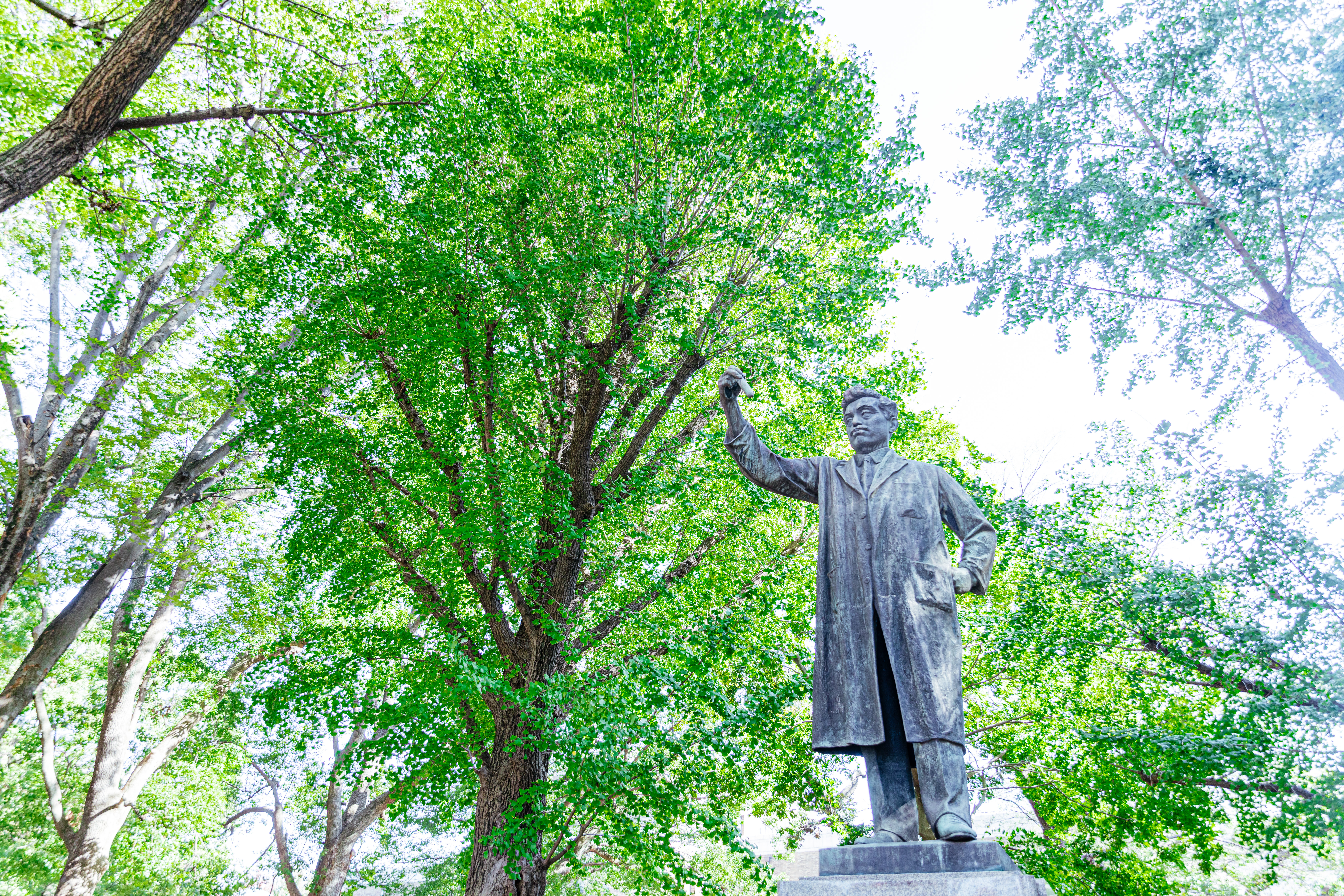 上野公園にある野口英世銅像の写真 画像 を無料ダウンロード フリー素材のぱくたそ