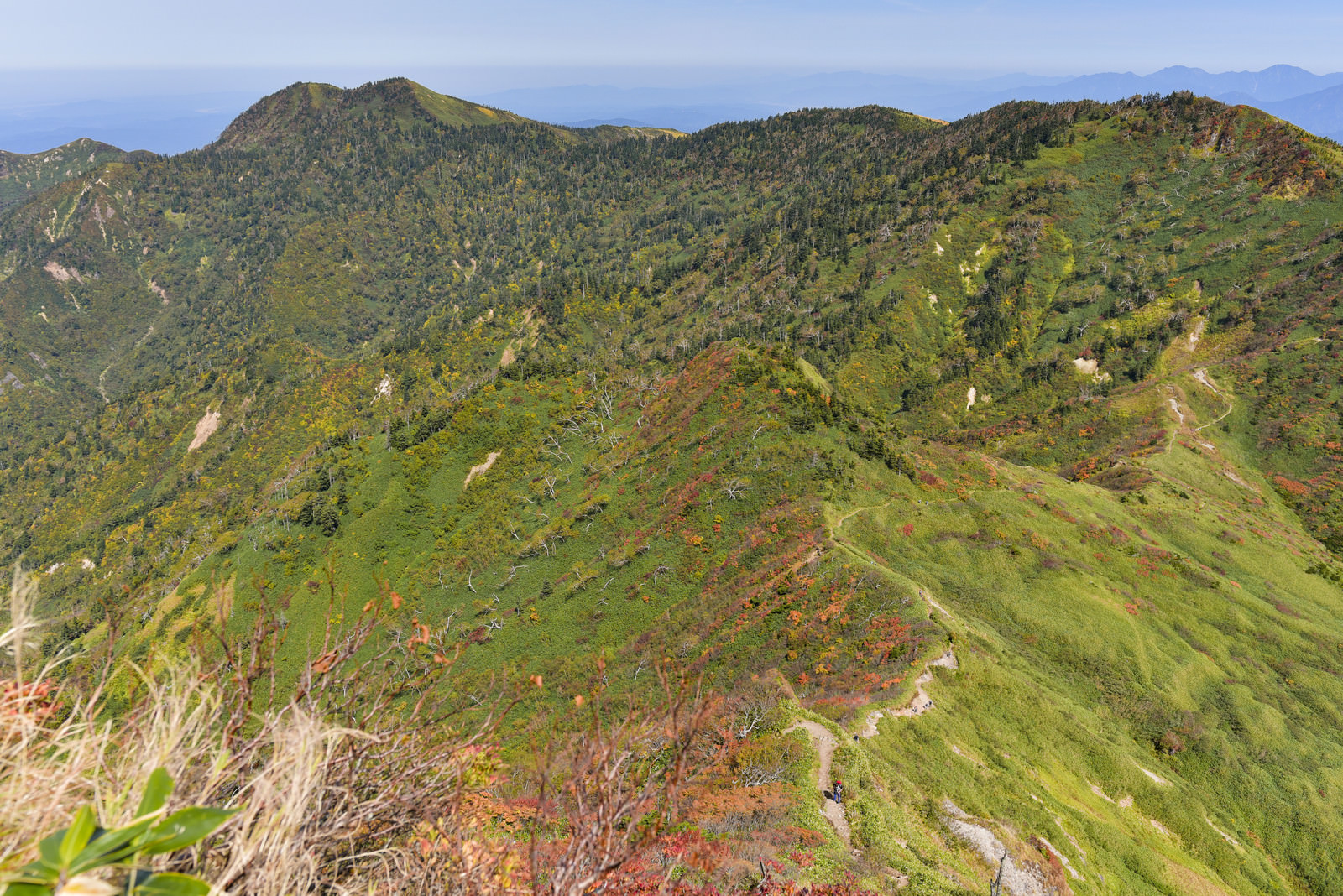 紅葉に染まる神楽ヶ峰方面 苗場山 の写真 画像 を無料ダウンロード フリー素材のぱくたそ