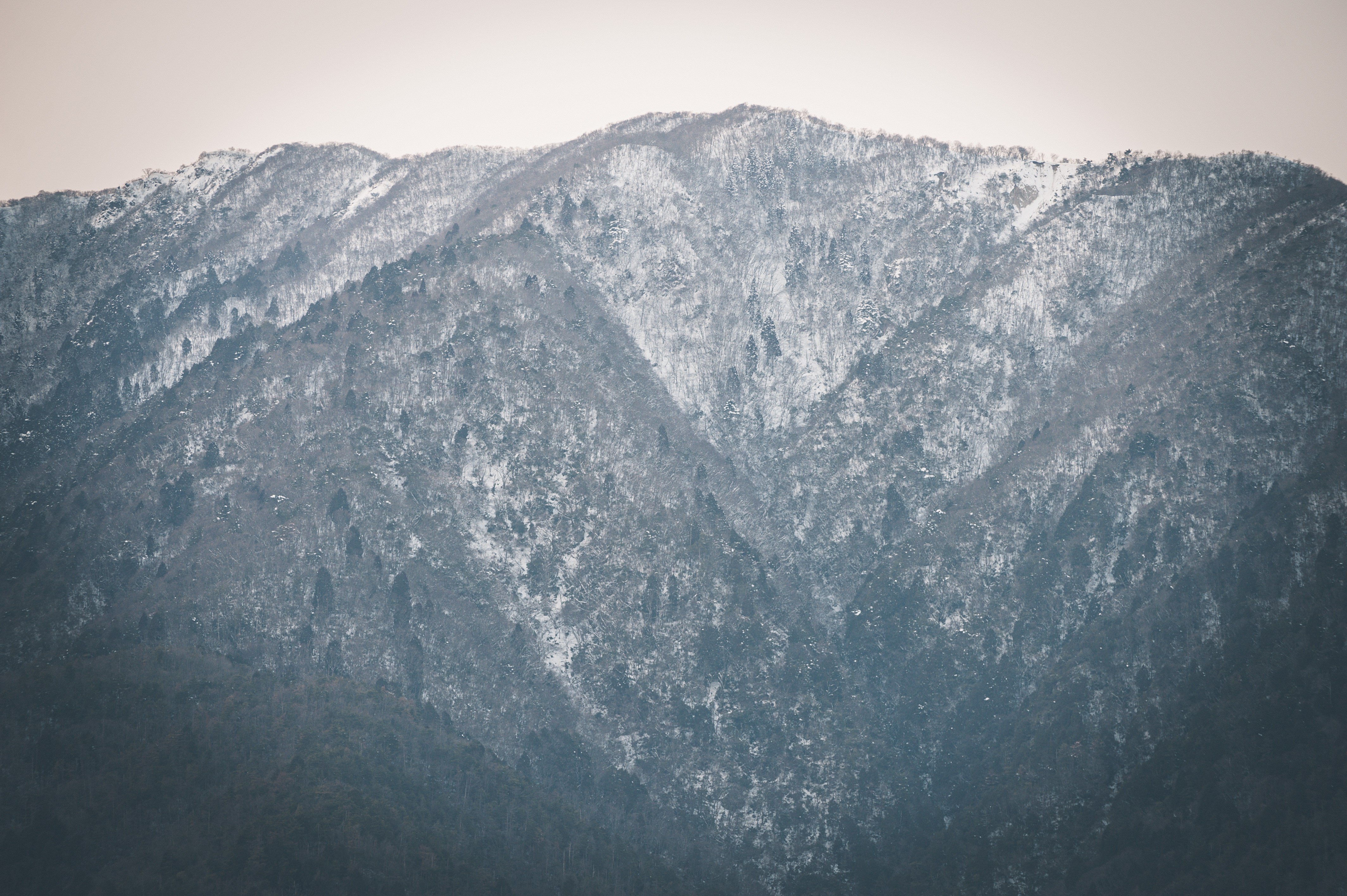 雪化粧した山の木々の写真素材 ぱくたそ