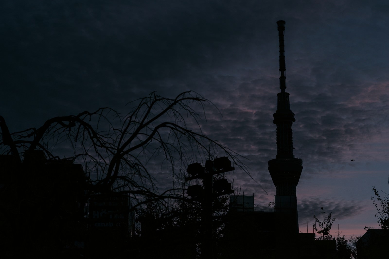 日没後のスカイツリーのシルエットの写真 画像 を無料ダウンロード フリー素材のぱくたそ