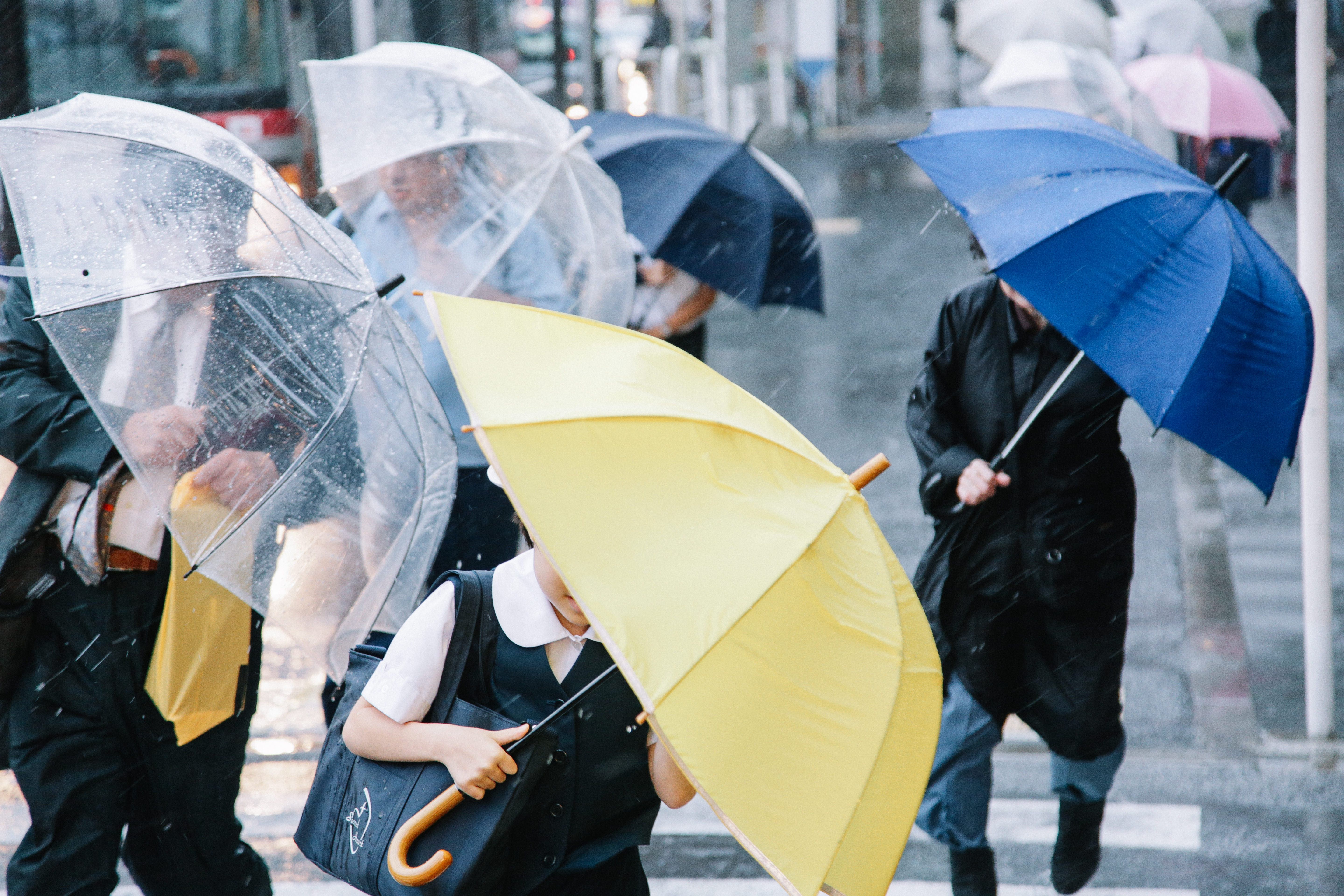 傘を斜めにするくらい横なぐりの雨の写真を無料ダウンロード フリー素材 ぱくたそ