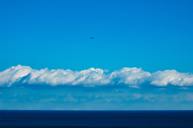 真っ青な海と空との間に伸びる水平線の無料の写真素材 フリー素材 をダウンロード ぱくたそ