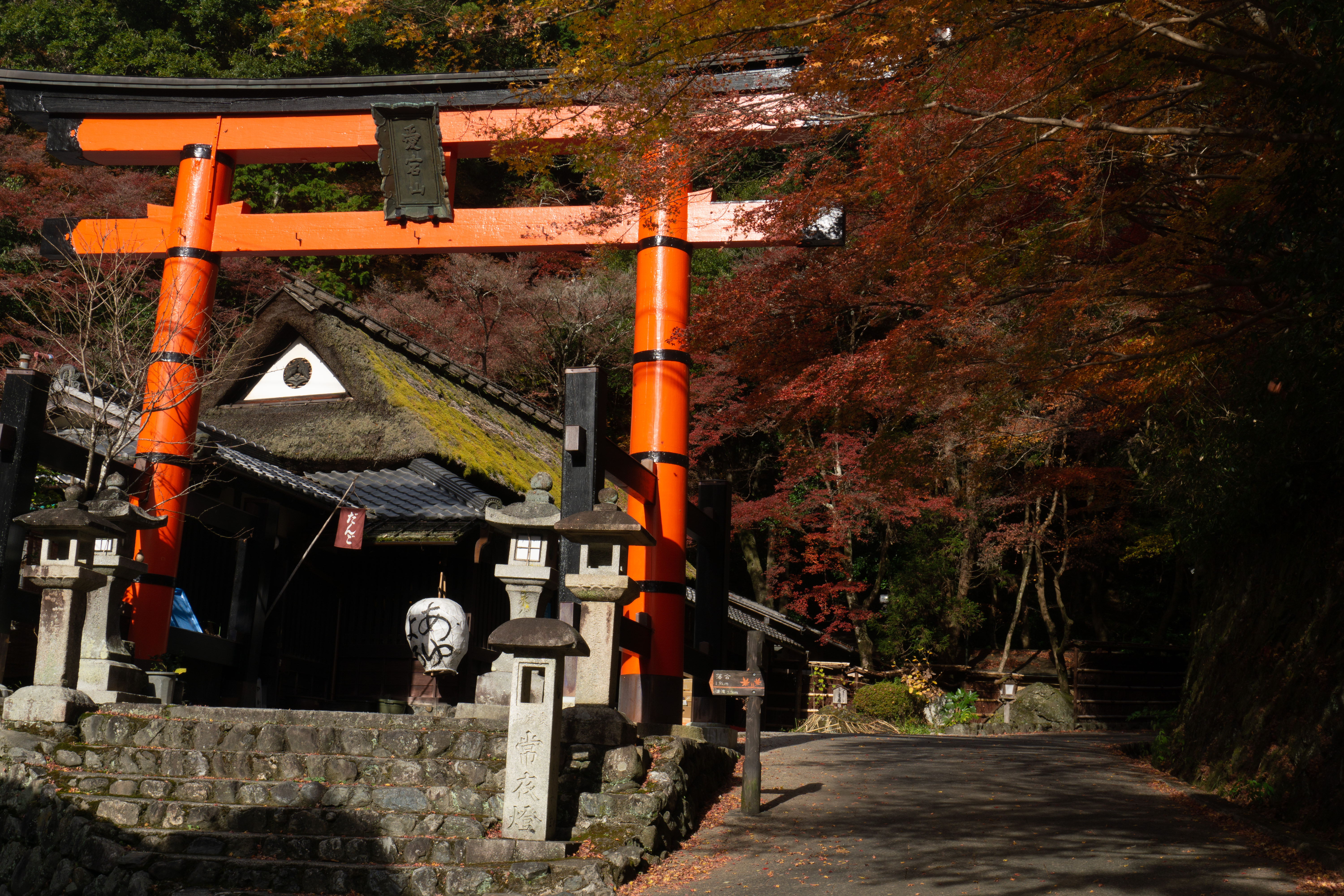 紅葉の見頃な道沿いに建つ愛宕神社一の鳥居の写真素材 ぱくたそ