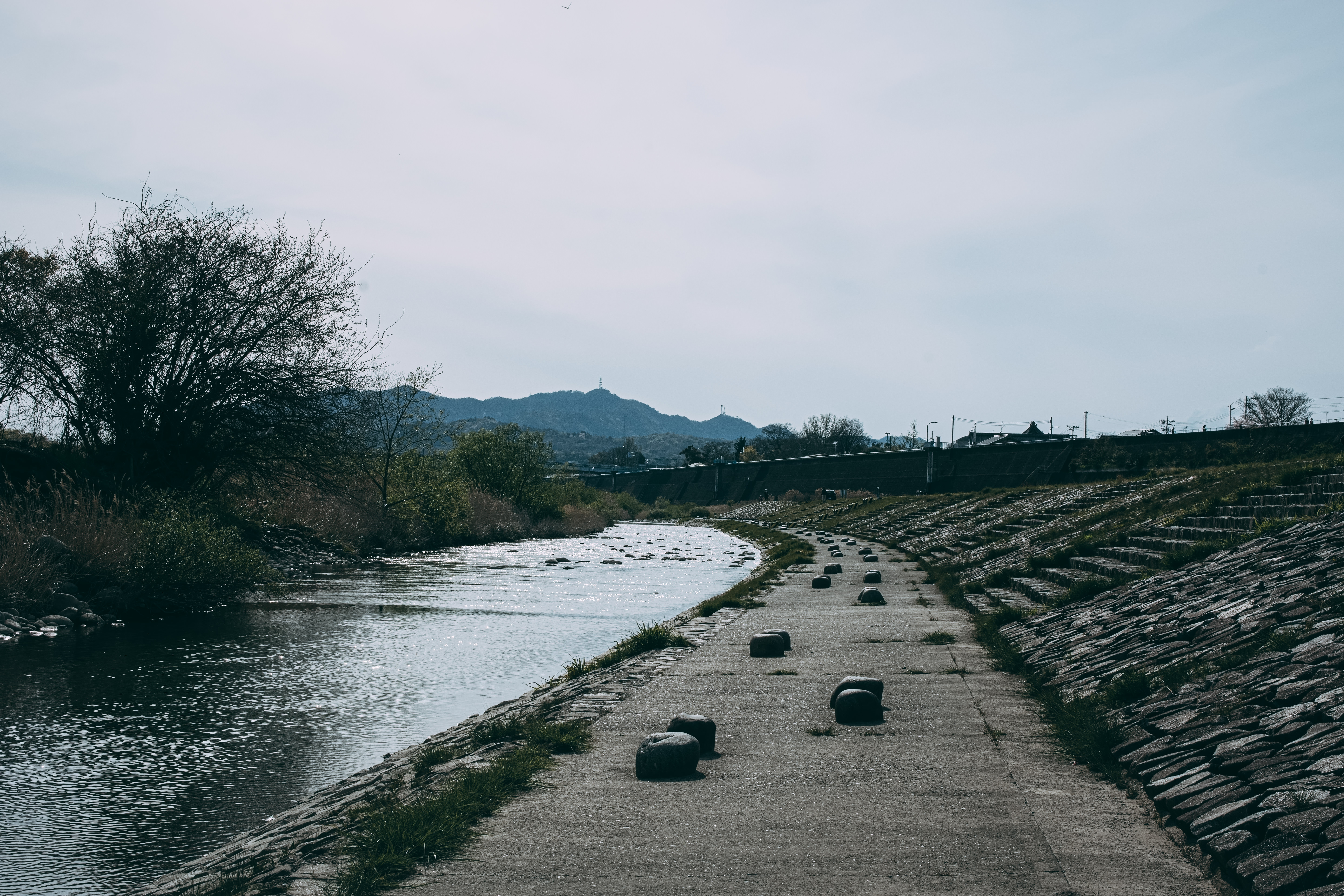 水路横の遊歩道の写真素材 ぱくたそ